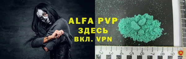 индика Аркадак