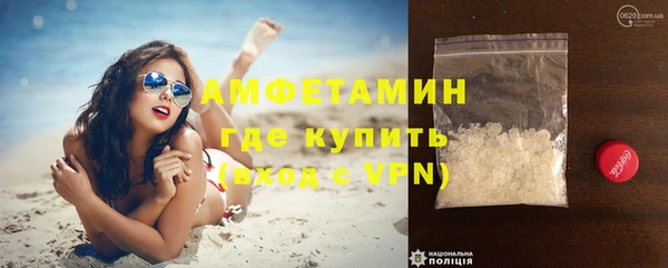 индика Аркадак