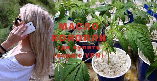 индика Аркадак