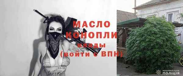 индика Аркадак
