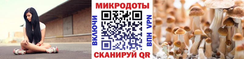 Псилоцибиновые грибы мицелий blacksprut ссылки Лениногорск